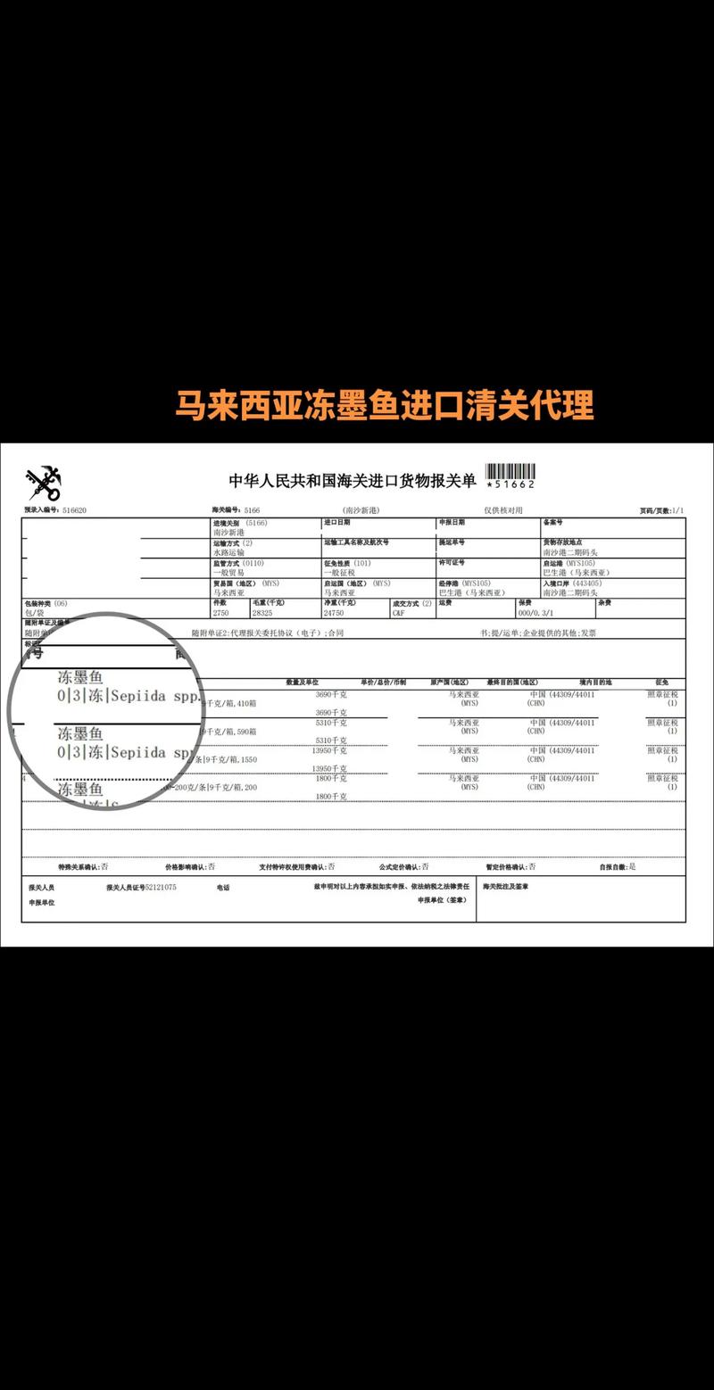 大连保税区选购指南:揭秘购物天堂